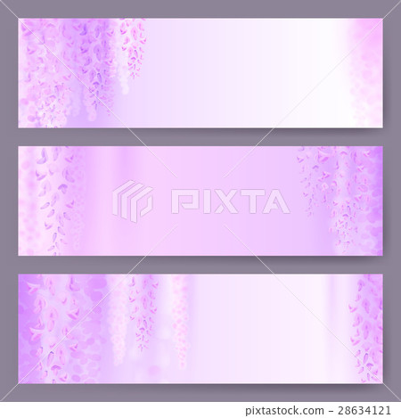 Spring background with blooming wisteria Spring background with blooming wisteria 28634121