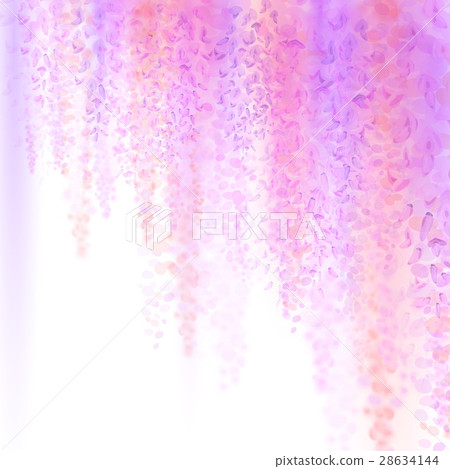 Spring background with blooming wisteria Spring background with blooming wisteria 28634144