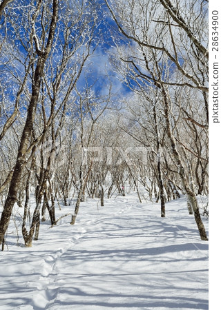 在登山山的雲彩冰 在登山山的雲彩冰 28634900