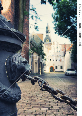 Lions in the street of Old Riga 28635293