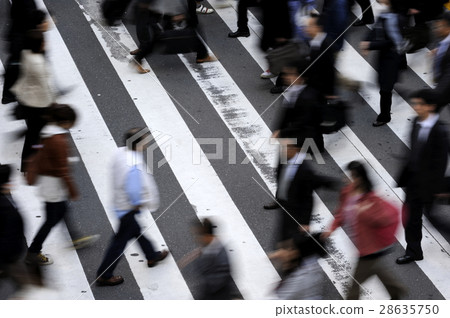 Urban people crosswalk 28635750