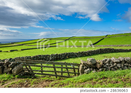 Farm fields in the Terceira island in Azores 28636063