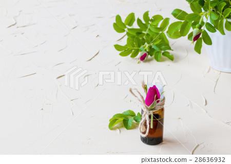 Rose essential oil in a glass bottle 28636932