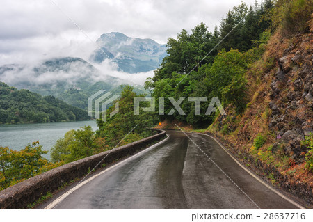 The road in Tuscany after rain The road in Tuscany after rain 28637716