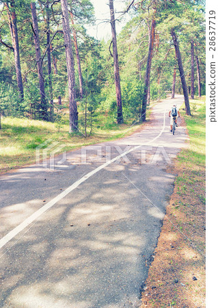 Paved bike path with a white stripe Paved bike path with a white stripe 28637719