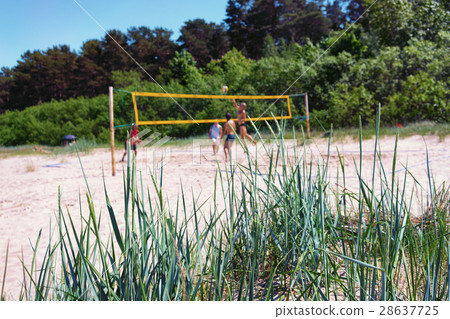 Play volleyball on the beach dunes summer 28637725