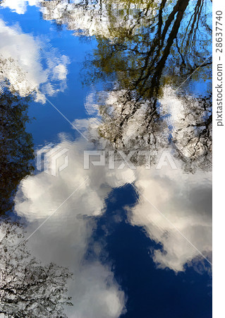 Spring trees and clouds reflected in the water Spring trees and clouds reflected in the water 28637740