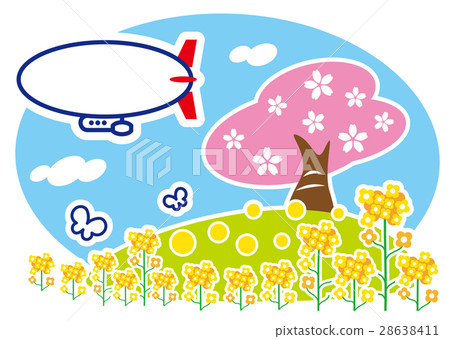 櫻花和油菜花和飛艇 28638411