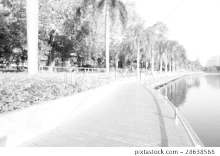 白 white 白色 28638568