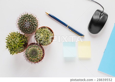 Small cacti, pen, computer mouse, notebook 28639552