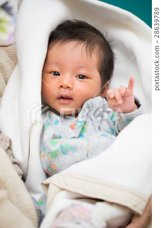 禮儀坤新生 28639789