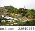 Rurikoji Temple Five Story Tower 28640135