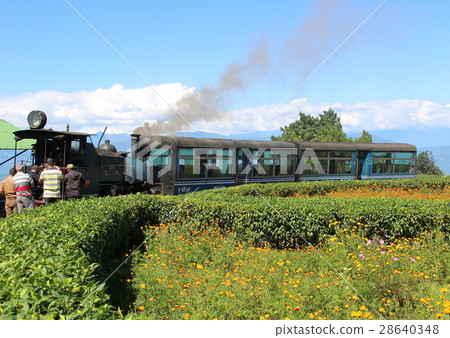 世界遺產鐵路大吉嶺喜馬拉雅鐵路蒸汽機車印度 28640348