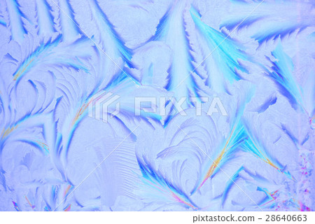 Flower of frost (angel's feather) 28640663