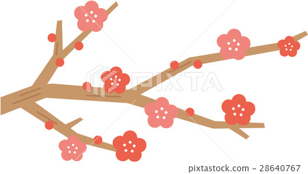 梅花 28640767