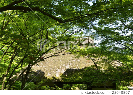 新鮮的綠色新Gyohko-ji寺廟門 28640807