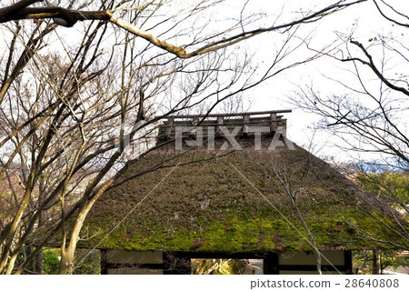 Norikomitsuji落葉的寺廟門 28640808