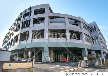 東京中央批發市場世田谷市場 28641176