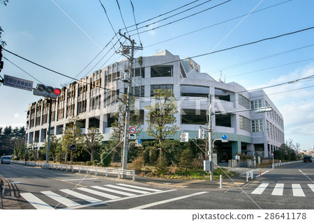 東京中央批發市場世田谷市場 28641178