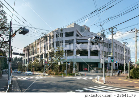 東京中央批發市場世田谷市場 28641179