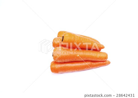 塊根作物·五參(胡蘿蔔)·白背橫向值 塊根作物·五參(胡蘿蔔)·白背橫向值 28642431