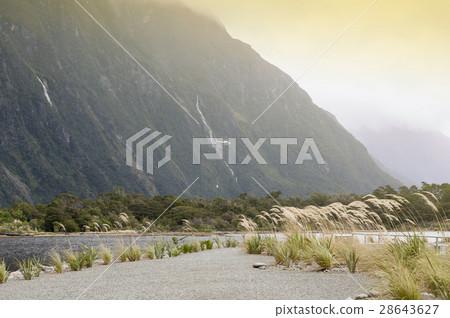 Scenic area at Milford Sound, New Zealand 28643627