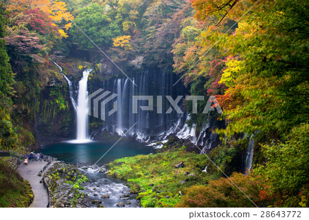 Autumn scene of Shiraito waterfall 28643772