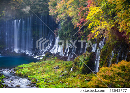 Autumn scene of Shiraito waterfall 28643777