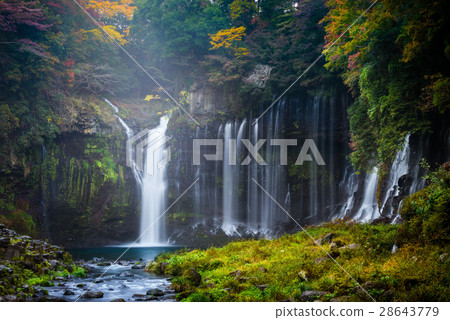 Autumn scene of Shiraito waterfall Autumn scene of Shiraito waterfall 28643779