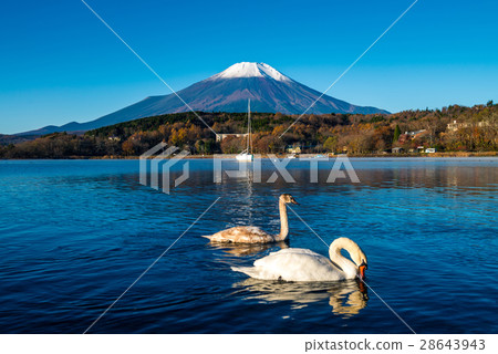 Mount Fuji and lake Yamanaka 28643943