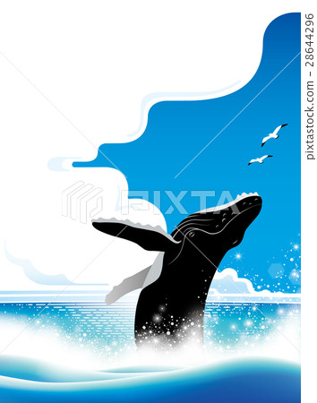 鯨魚跳 鯨魚跳 28644296