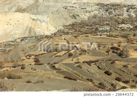 cultivated fields in the Himalayas, Nepal 28644372