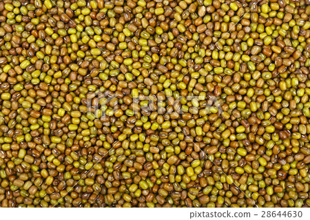 Green mung beans close up background Green mung beans close up background 28644630
