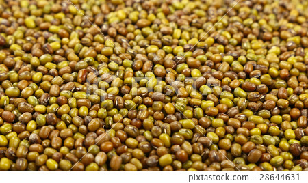Green mung beans close up background Green mung beans close up background 28644631