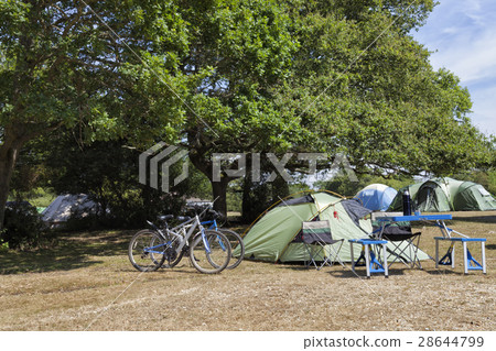 Camping tents under oak trees in woodland camp sit Camping tents under oak trees in woodland camp sit 28644799