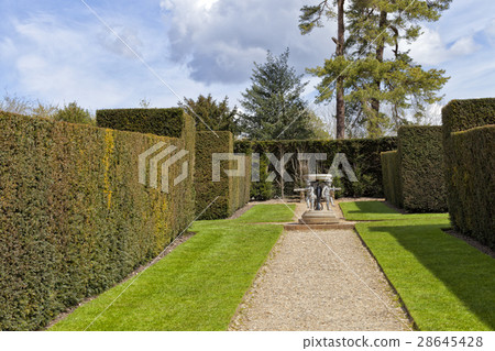 Garden with stone sundial ornament, hedge walls Garden with stone sundial ornament, hedge walls 28645428
