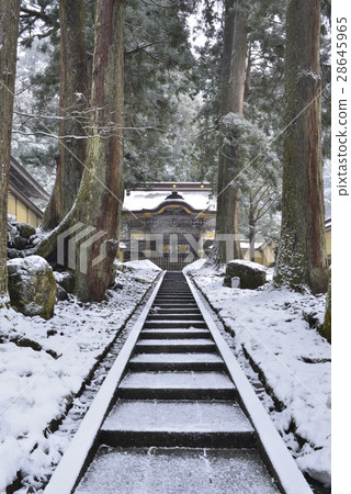 [福井縣]雪英平治 28645965