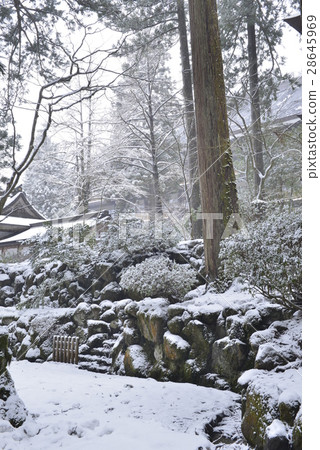 [福井縣]雪英平治 28645969