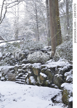 [福井縣]雪英平治 28645970