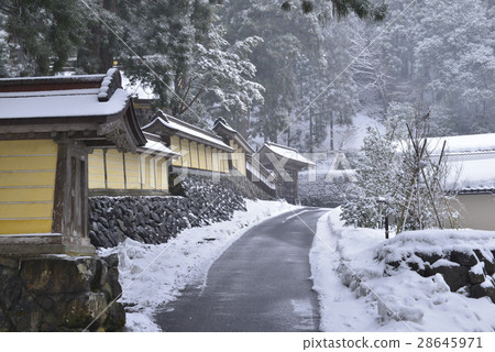 [福井縣]雪英平治 28645971