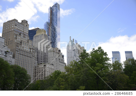 New York City USA Skyline central Park trees 2 28646685