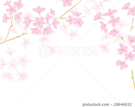 櫻花與分支機構框架背景 櫻花與分支機構框架背景 28646832