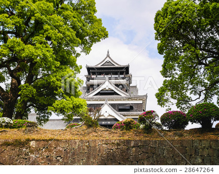 熊本城擁有高聳的天守閣和用於抵禦武士的石牆，是一處歷史地標。 28647264