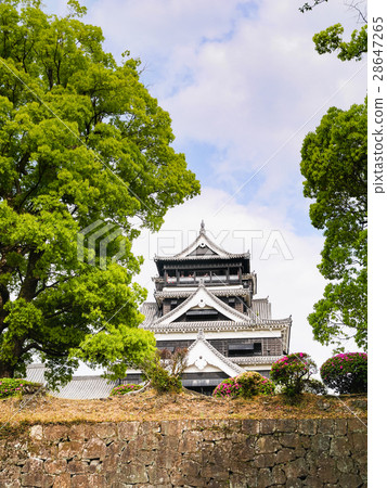 A view looking up at the keep of Kumamoto Castle and the stone walls of the Musha-gaeshi (warrior-repelling) structure. A view looking up at the keep of Kumamoto Castle and the stone walls of the Musha-gaeshi (warrior-repelling) structure. 28647265