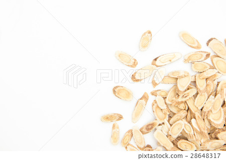 Kibana Owl (Radix Astragali): Astragalus root 28648317