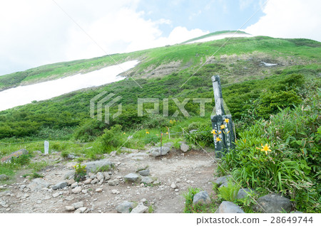 Tsukiyama in the summer 28649744