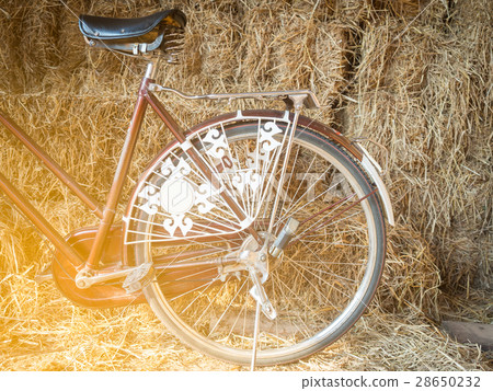 Vintage bicycle 28650232