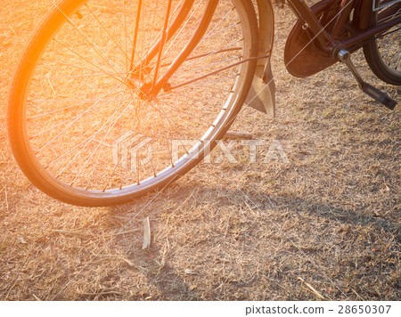 Vintage bicycle 28650307