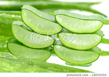 Slice Aloe Vera. 28650450