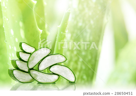 Slice Aloe Vera. 28650451